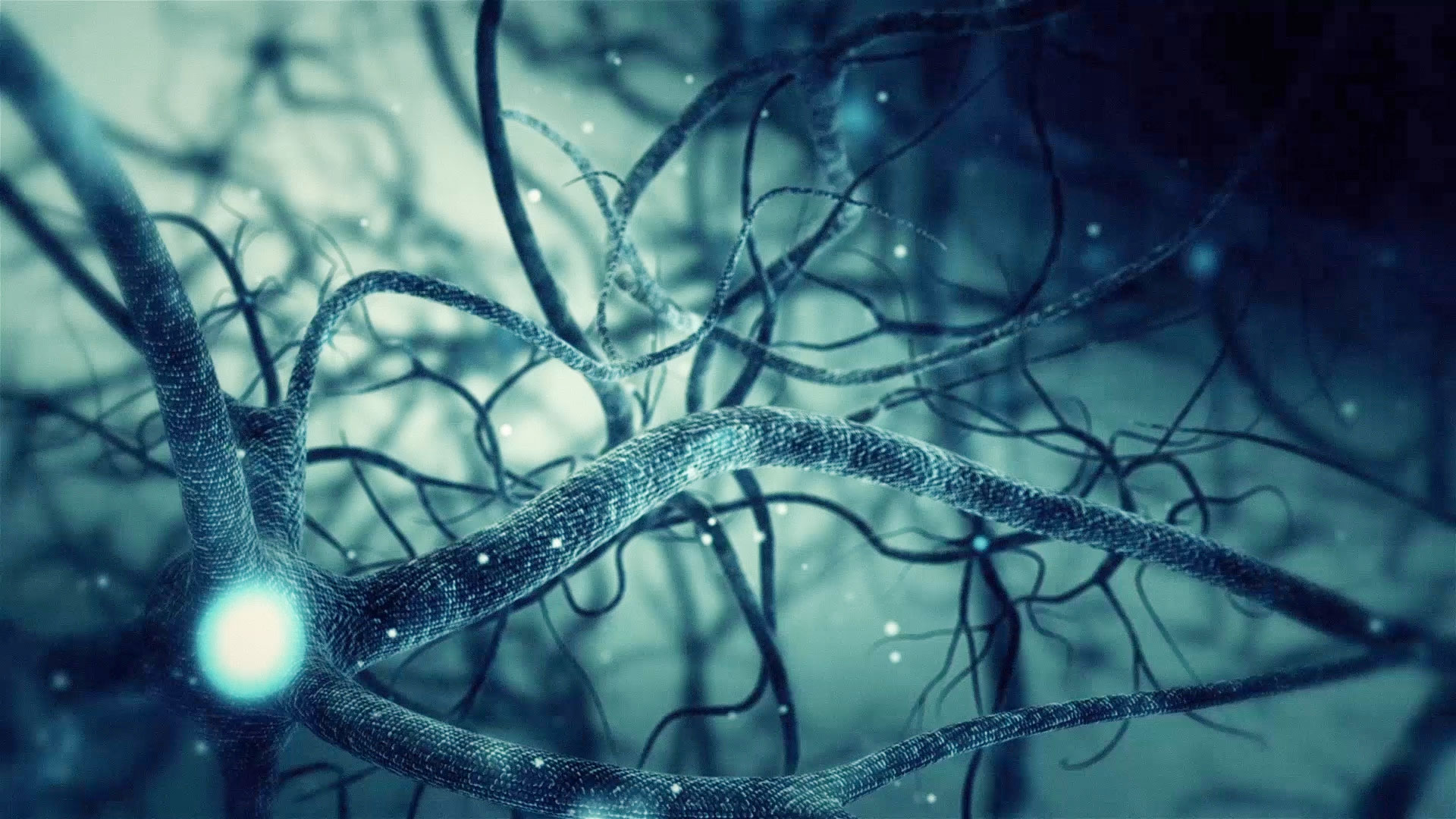 Green Neuron synapse network 3D animation. Infinite Loop inside the