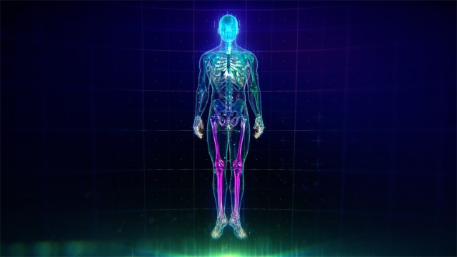 Colorful Human Body animation with flares and particles showing veins, bones, organs and skin. Plexus. Futuristic and Artistic concept of human anatomy. Full Body Circulatory System. 4K UHD