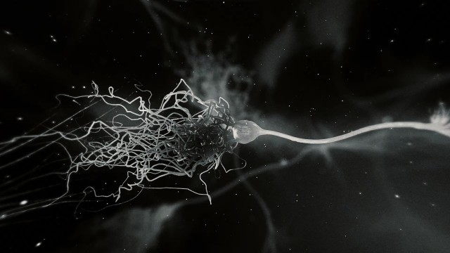 Microscopic Neurone synapse network 3D animation.