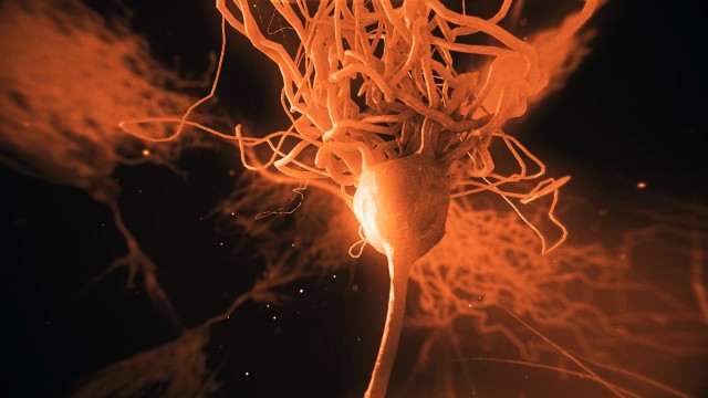 Realistic Neurone synapse network 3D animation with infrared