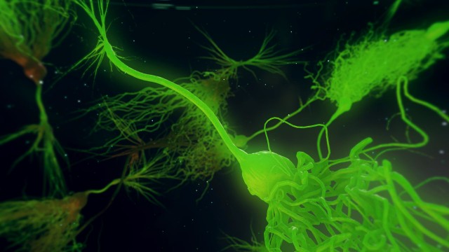 Laser Green Neurone synapse network 3D animation