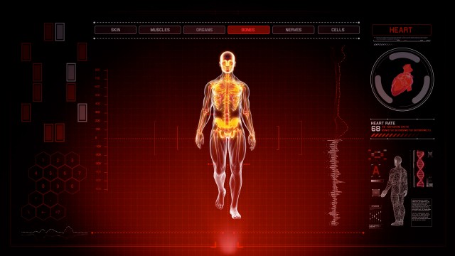 Red Futuristic Interface of Full Body Scan with Human Anatomy of Muscles, Bones and Organs