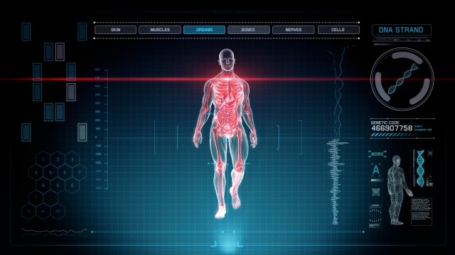 Blue Futuristic Interface of Full Body Scan with Human Anatomy of Muscles, Bones and Organs