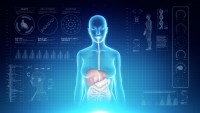 Female Digestive System Anatomy on Virtual Futuristic Blue Touch Interface