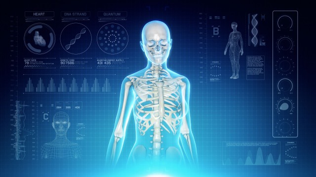Female Skeletal System Anatomy on Virtual Futuristic Blue Touch Interface