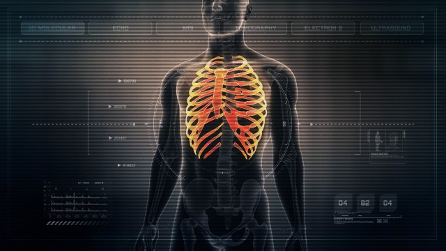 Anatomy of Human Male Rib Cage on Futuristic Medical Interface dashboard. Seamless Loop. Animation.