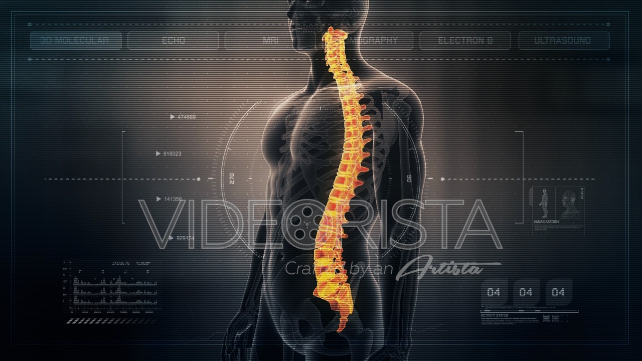 Futuristic Interface Display of Human Male Spinal Cord on Medical Screen  Background