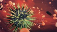 Green Lethal Virus living among Healthy Cells inside human organism. Animation of virus floating near cells. PART A