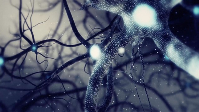 Real Neuron synapse network 3D animation. Infinite Loop