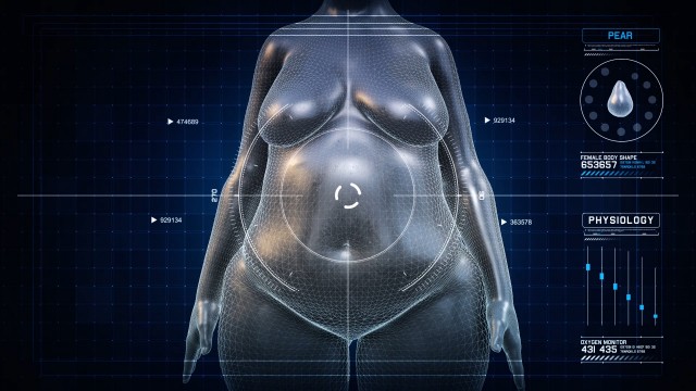 Woman PEAR Body Shape Anatomy Gaining Weight Futuristic animation - Slim to Fat Scan Interface