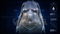 Woman PEAR Body Shape Anatomy Gaining Weight Futuristic animation - Slim to Fat Scan Interface