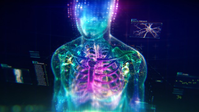 Colorful Human Body animation with infographics and particles showing bones, organs and skin.