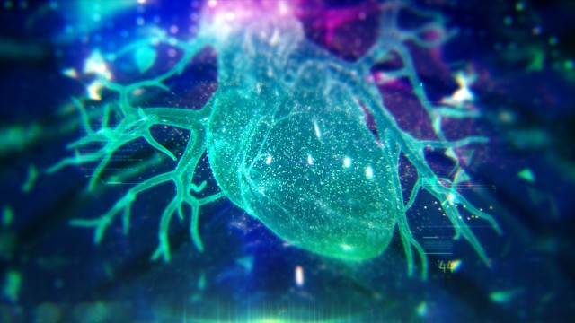 Colorful Human Heart animation with infographics and particles.