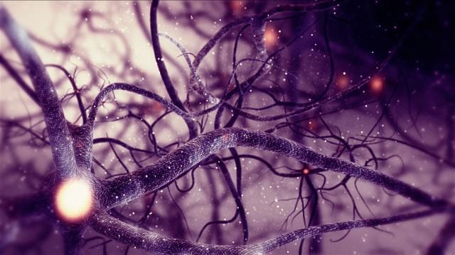 Purple Neuron synapse network 3D animation. Infinite Loop