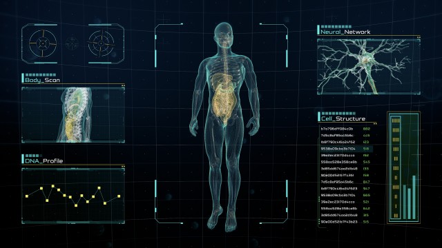 Rotating body on futuristic display with infographics, charts and graphs. Analysis of brain and organs for medical research and science.