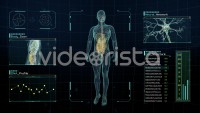 Rotating body on futuristic display with infographics, charts and graphs. Analysis of brain and organs for medical research and science.