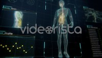 Rotating body on futuristic display with infographics, charts and graphs. Analysis of digestive system and organs for medical research and science.