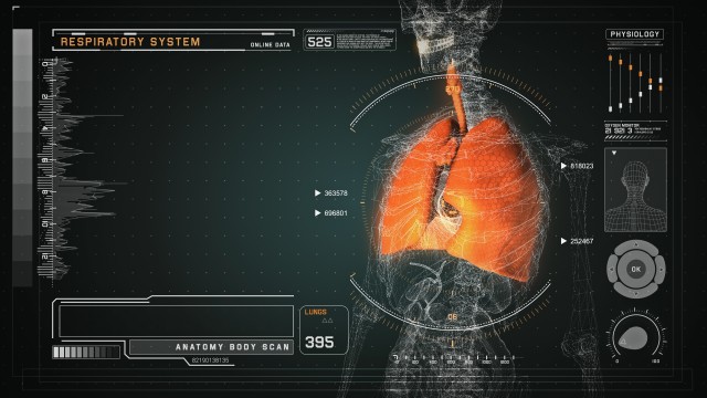 Respiratory Anatomy on Virtual Futuristic Wireframe Orange Interface
