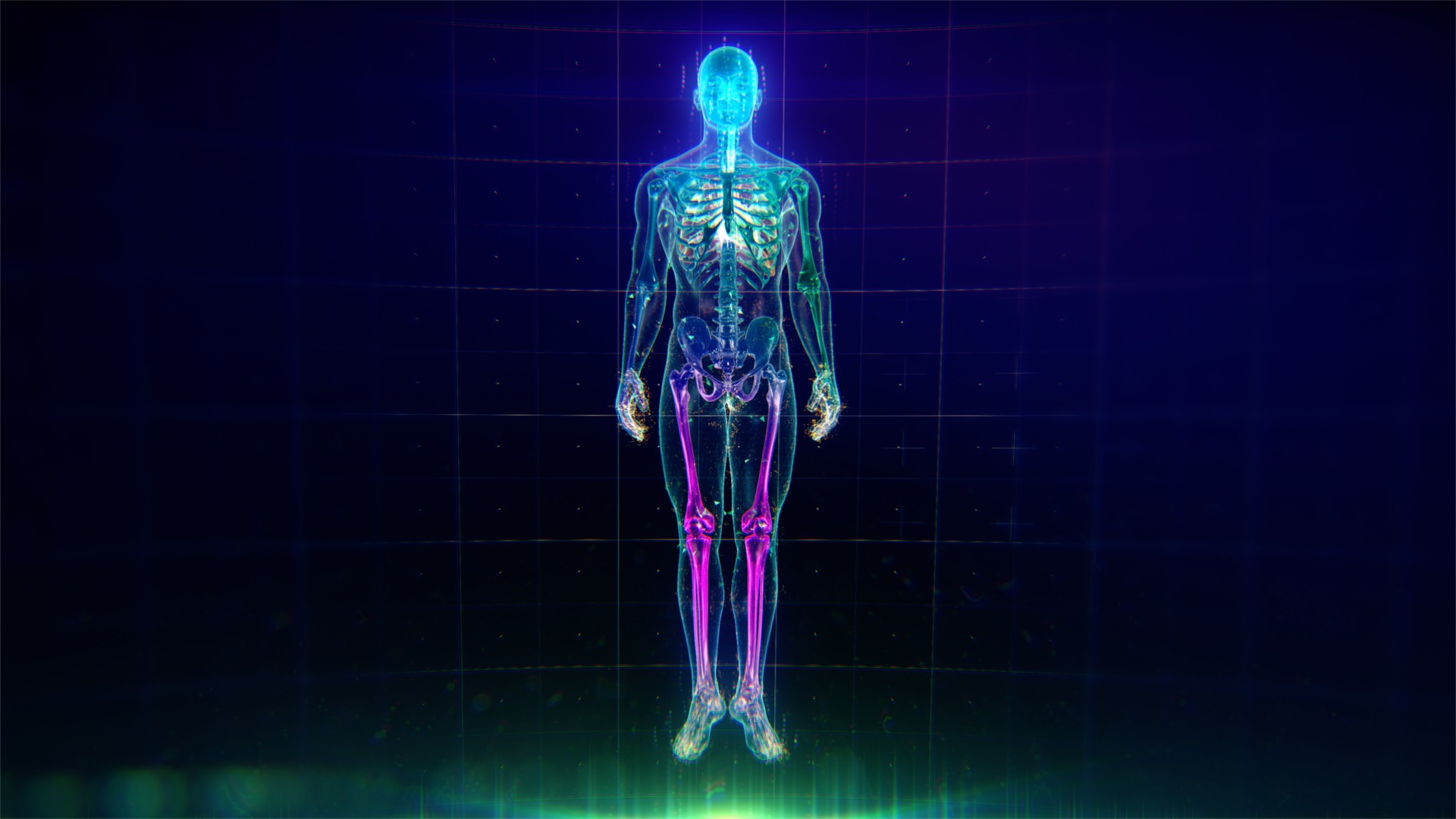 Colorful Human Body animation with flares and particles showing veins,  bones, organs and skin. Plexus. Futuristic and Artistic concept of human  anatomy. Full Body Circulatory System. 4K UHD