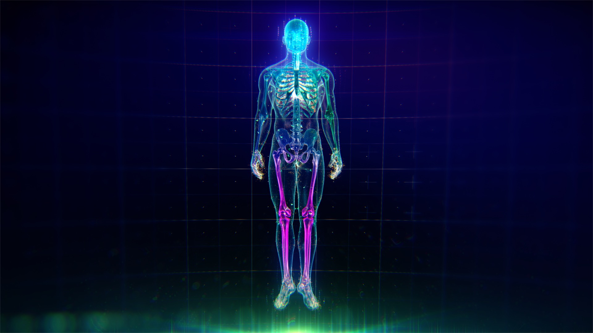 colorful-human-body-animation-with-flares-and-particles-showing-veins