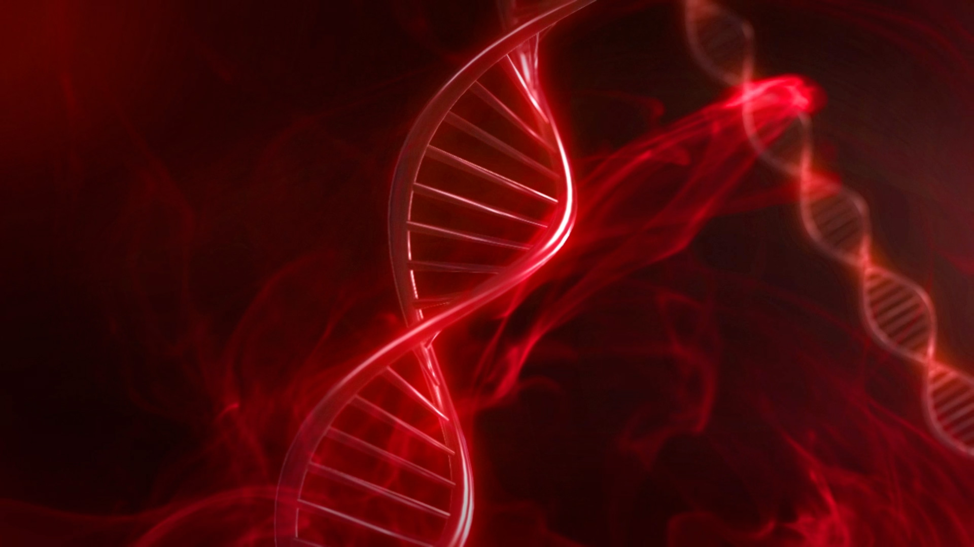 Red DNA Code With Genetic Background in slow motion 3D animation