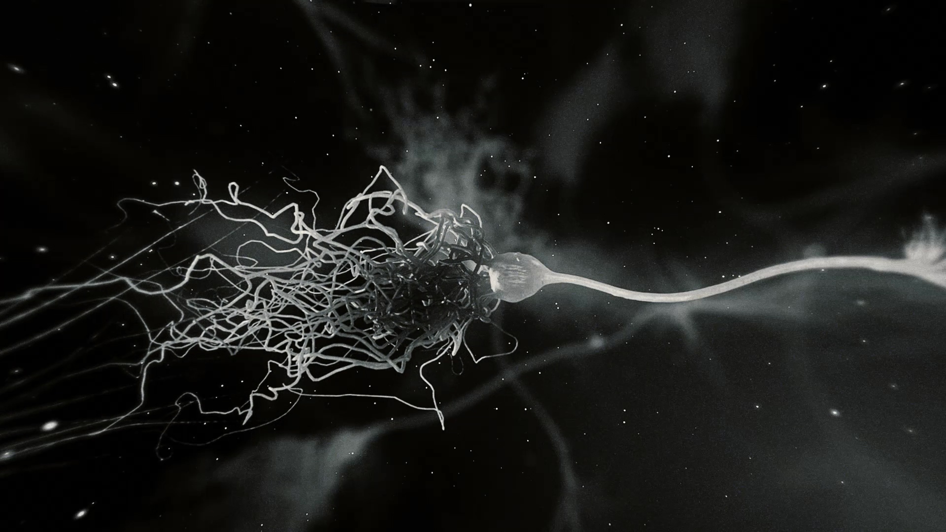 Realistic Neurone synapse network 3D animation with Ultrasound Scan. Flight through brain