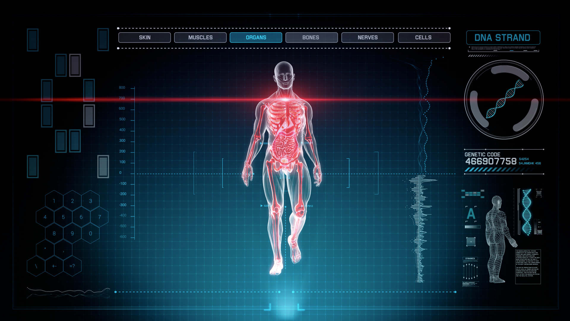 Futuristic Interface Display of Full Body Scan with Human Anatomy of ...