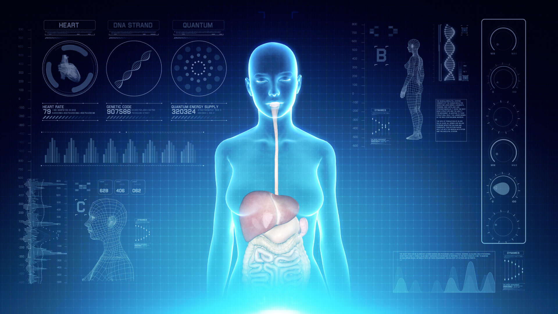 Futuristic Interface Display of Female Body Scan with Human Digestive