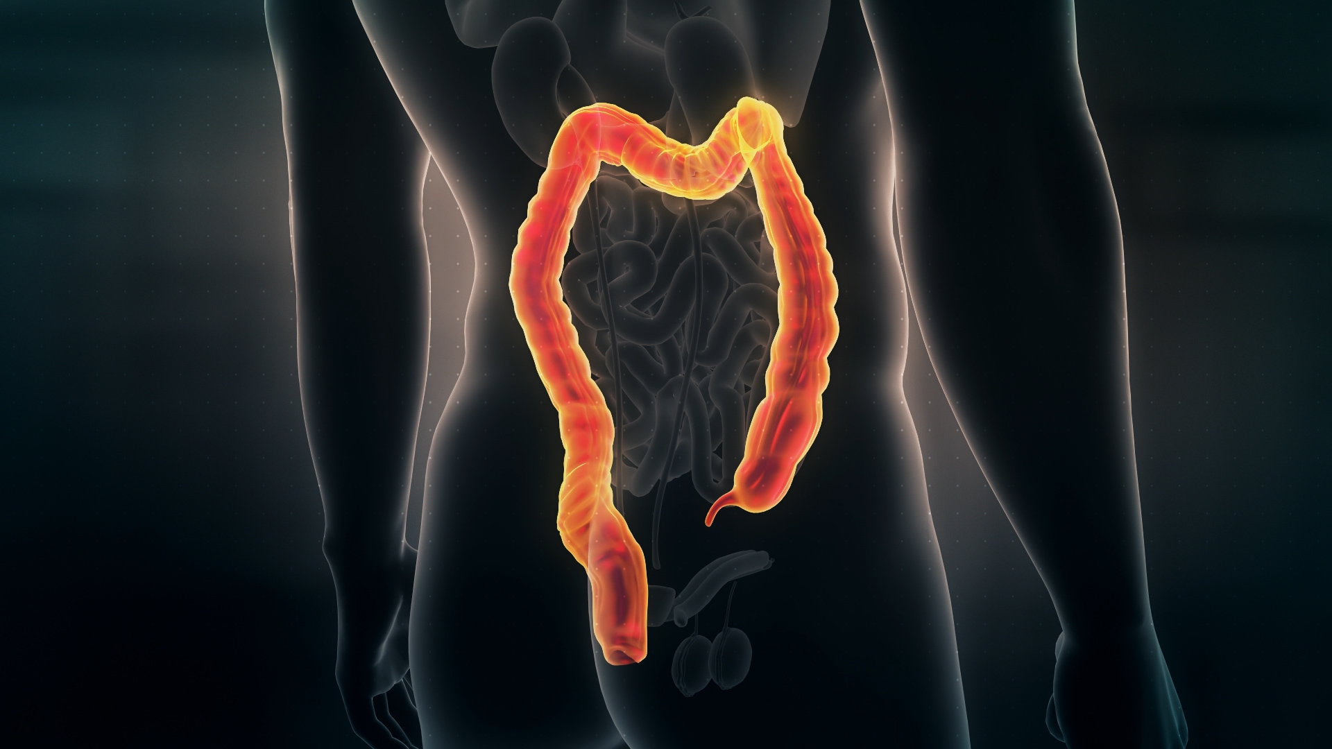 Futuristic Interface Display Of Human Male Body Scan With Colon And Digestive System Organs On Dark Background