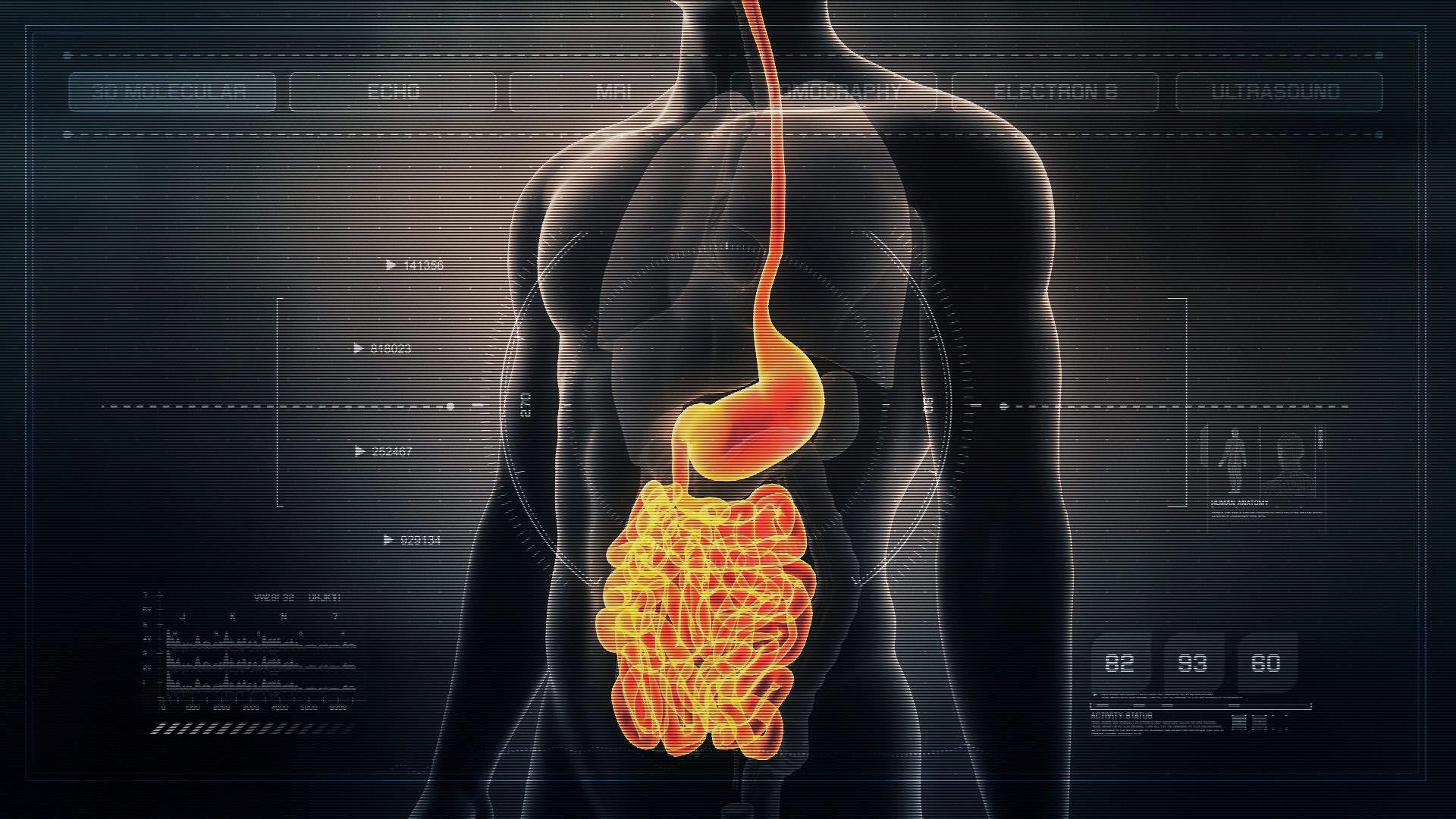 Futuristic Interface Display of Human Male Digestive System Gut and